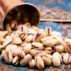 Ahmad Aghaei Pistachios for Sale - Zaragro