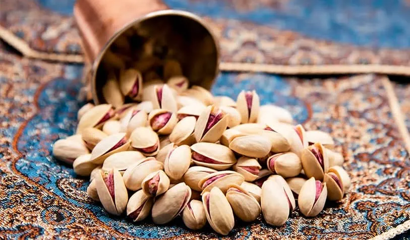 Ahmad Aghaei Pistachios for Sale - Zaragro