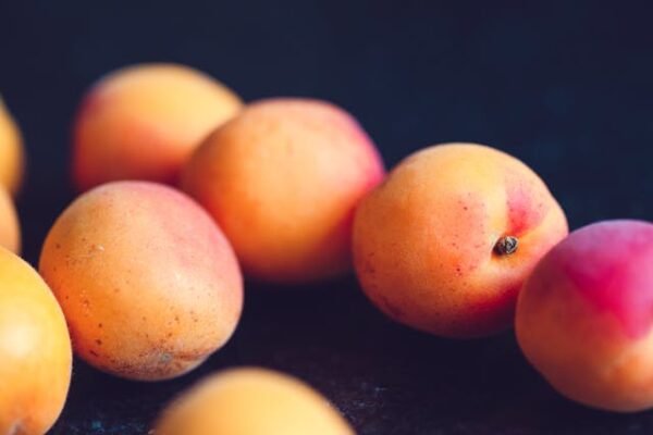 Yazd Peach