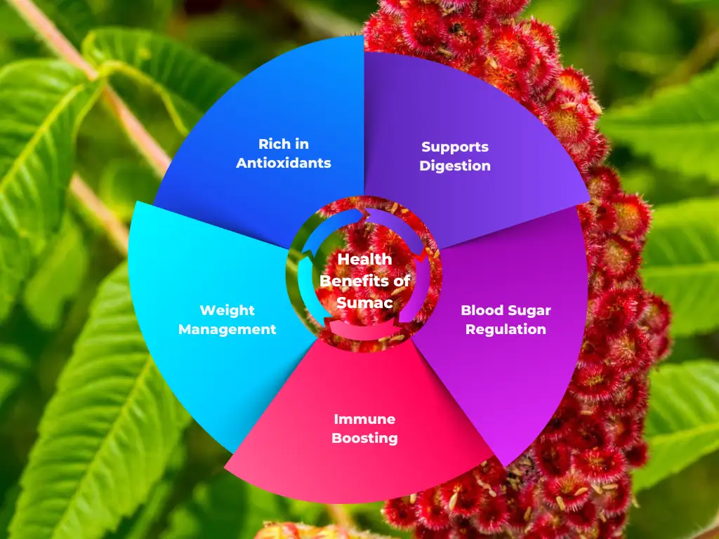 Health Benefits of Sumac - Zaragro