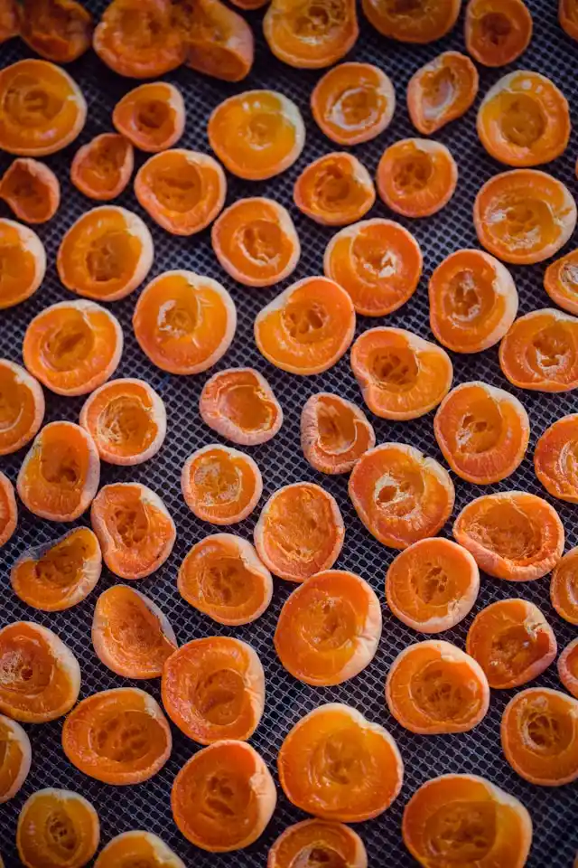 Iranian Dried Apricots - Zaragro