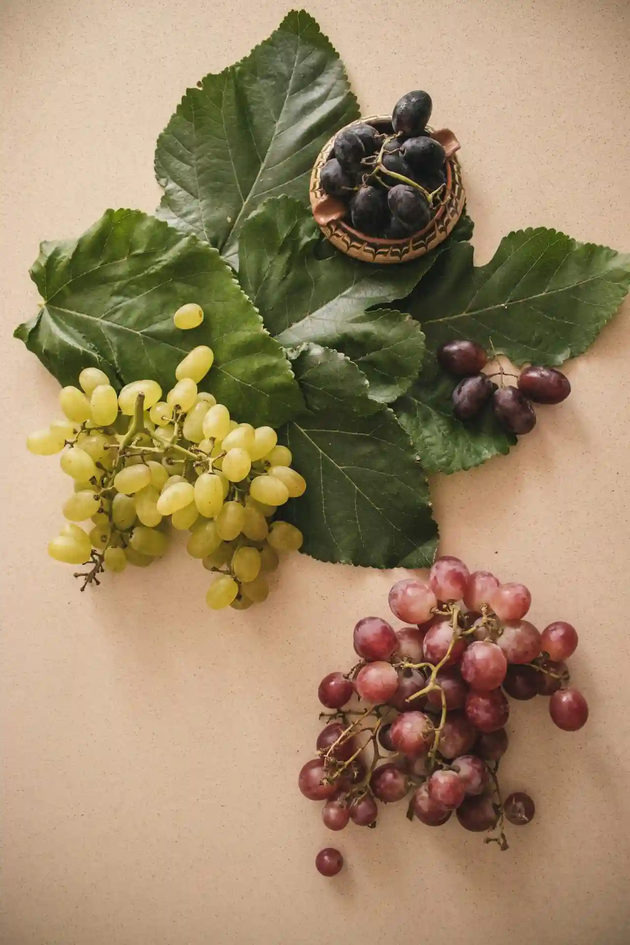 Iranian Grapes - Zaragro