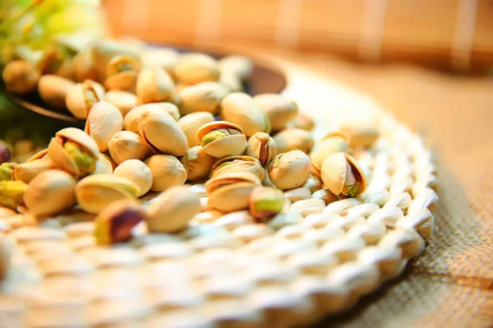 Iranian Pistachio - Zaragro