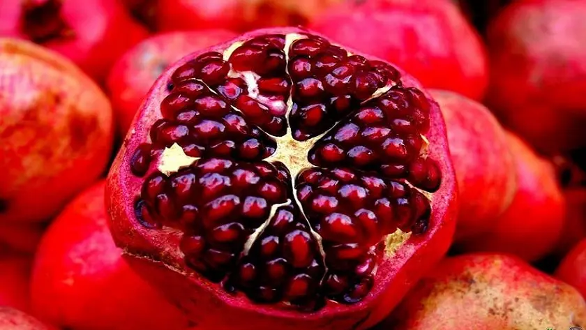 Iranian Pomegranate - Zaragro