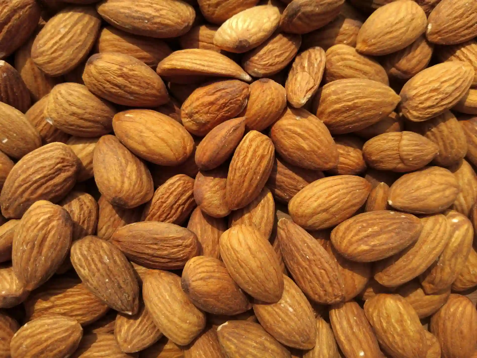 Almond - Zaragro