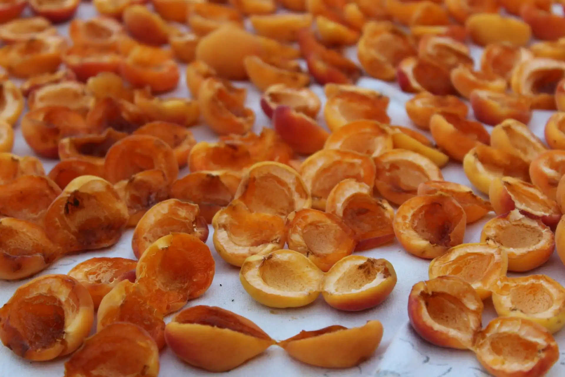 Dried Apricot - Zaragro
