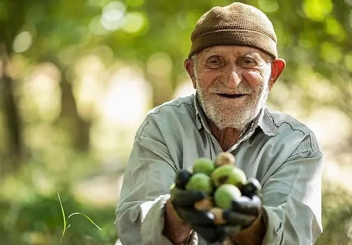 Iranian Walnuts - Zaragro