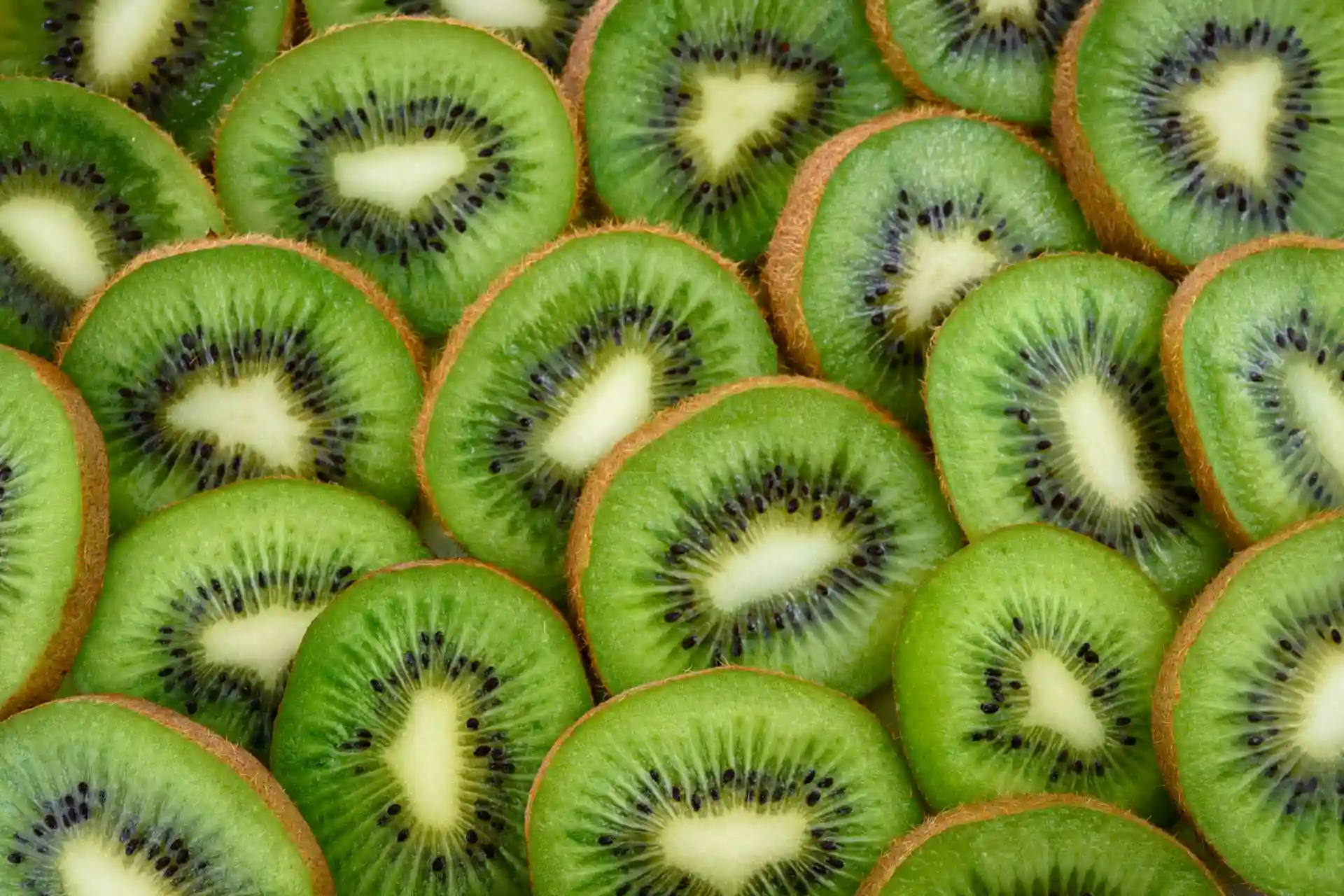 Kiwi - Zaragro
