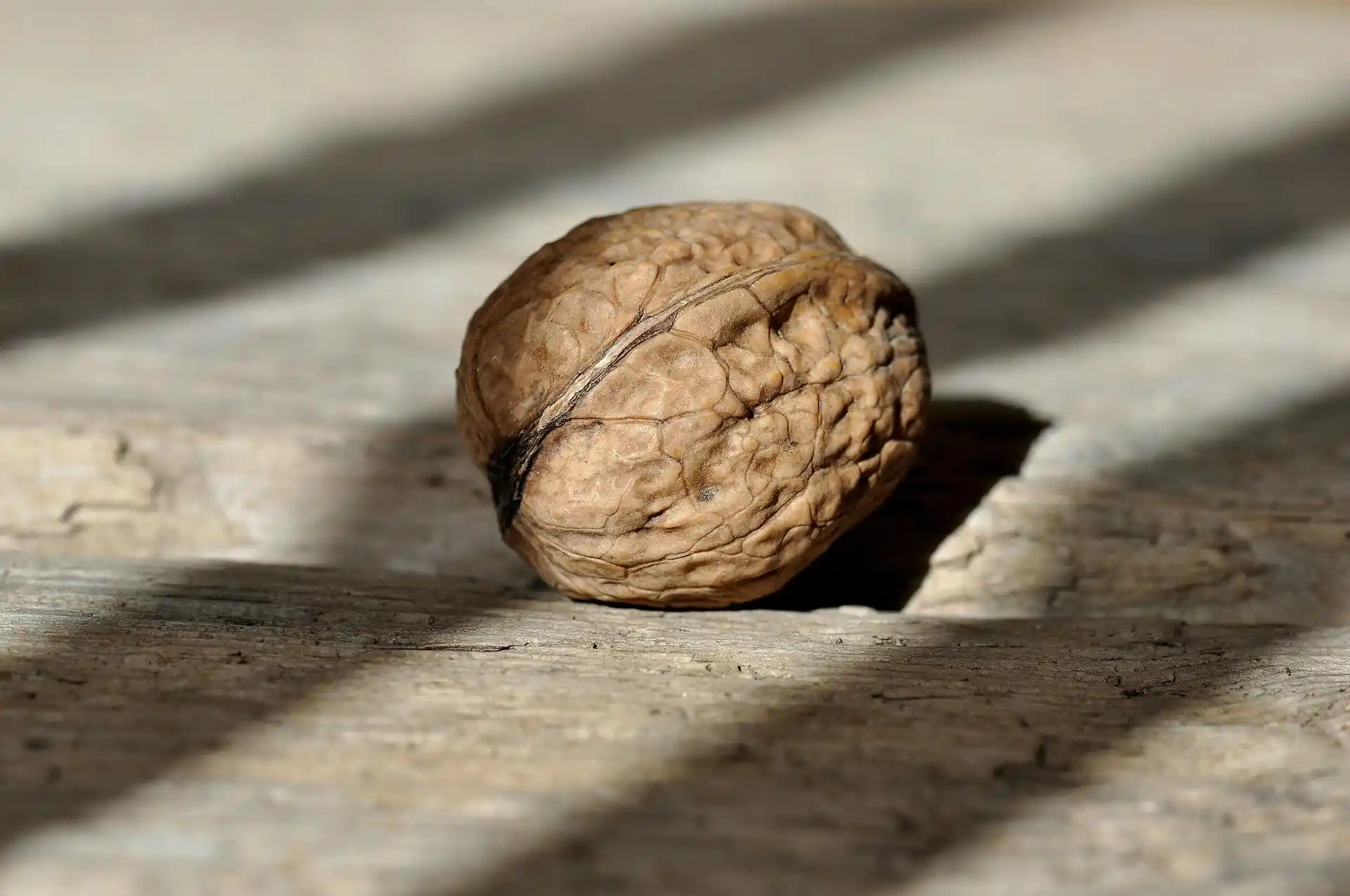 Walnut - Zaragro