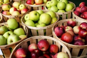Iran Apple Exporters - Zaragro